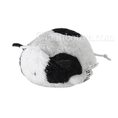 EV ʂ A-SHOW j}    ubN