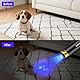 DARKBEAM UV Taschenlampe 365nm UV Lampe, Wiederaufladbar Schwarzlichtlampe USB Klein Taschenlampe LED Mini Woodsche Lampe für Aushärtung des Harzes, Bernstein Lampe, Heimtierurindetektoren