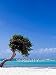 Serenity nature relaxation
