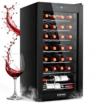 Which BODEGA Wine Fridge Should You Actually Buy?