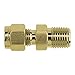 Brennan Industries N2404-06-02-B Brass Straight Double-Ferrule Tube Fitting, 1/8" NPT Male Thread, 3/8" Tube x 3/8" Male NPT