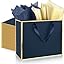 Navy Blue Gold