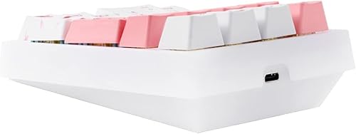 Miniatura 6 de BOYI TD21 - Teclado numérico intercambiable en caliente, 21 teclas, mini teclado portátil Numpad Bluetooth 5.02.4GHzteclado con cable de número PBT,