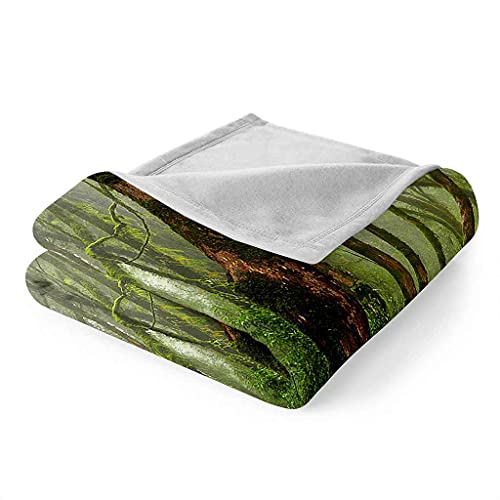 Couverture microfibre douce forêt verte 3D pour lit et canapé - 7