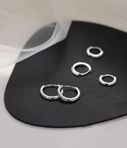 Sterling Silver Hoop Earrings for Women Girls, S925 14K White Gold Plated Huggie Earring with Cubic Zirconia Tiny Hypoallergenic Cartilage Ear Piercing Earrings Set for Men (6/8/10/12mm)