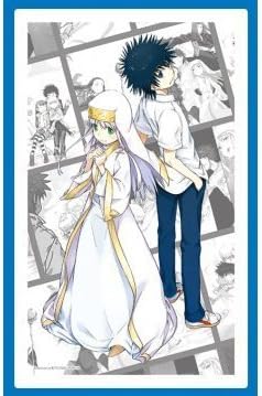 Amazon 一番くじプレミアム 鎌池和馬の祭典 シリーズ第二弾 とある魔術の禁書目録10周年記念 D賞 アートフレーム インデックス 上条当麻 単品 アニメ 萌えグッズ 通販