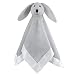 aden by aden + Anais Classic Lovey, Baby Cuddly Companion with Hypoallergenic Fill, Solid Micro chip