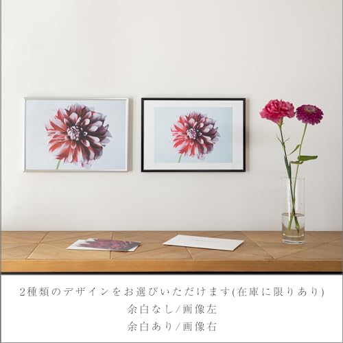 Fragsphere 日常を彩る 花のポスター HANASUGATAシリーズ ダリア 赤 余白あり A4サイズ 210×297mm 日本製 フレームなしタイプ インテリア FWM-001A [3]