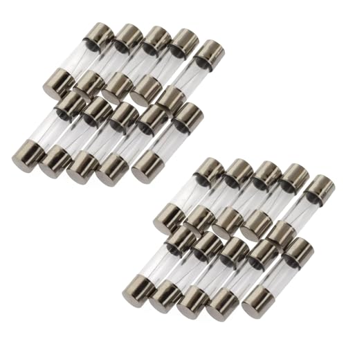 20 Stücke Feinsicherung 10A, 5x20mm, Träge Packung Glassicherung 250V