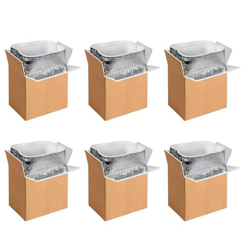 Image of Simple Deluxe 6 Pack Insulated Shipping Boxes with Aluminum Foil Liner,Thermal Insulation Cold Pack Shipping Boxes for Frozen, Reusable Styrofoam Cooler Box, Small Mailing Box, 6''x5''x9''