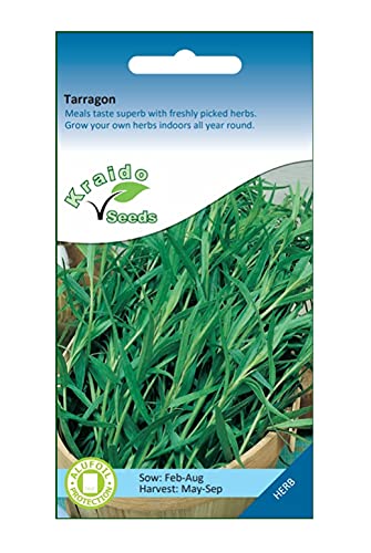 Russian Tarragon Herb 1000 Seeds Artemisia Dracunculus, Grow Your Own Herb Garden Indoors on a Windowsill or Outdoors in Pots and Containers