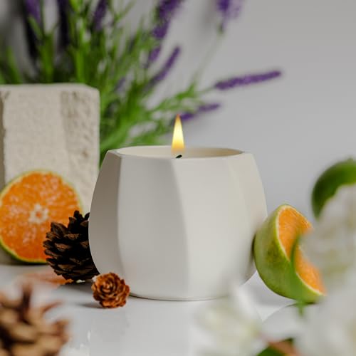 TALENT CANDLES Scented Candles Ceramics Cup Long Burn Time Natural Soy Wax Candles Perfect Gifts for Women & Men Birthday (Lemon & Lavender Spa)