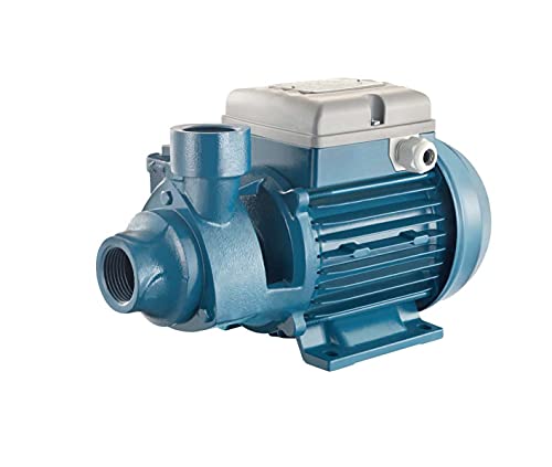 FORAS PE100 elektrische Peripheralpumpe, made in Italy, 230V, 0.74 kW, 65 m, 60 L/min
