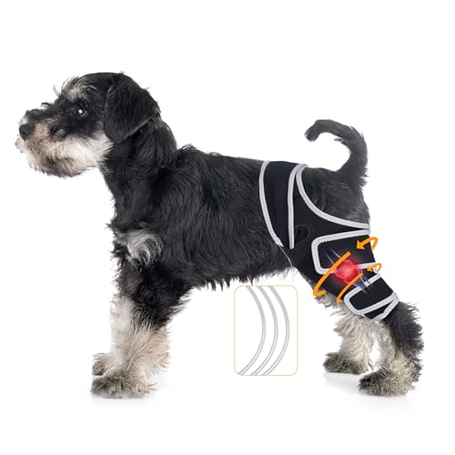 Genouillère réglable taille S pour articulation de patte de chien - 2