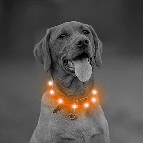 PetSol LED Dog Collar Extra Bright USB Rechargeable, Fits All Dogs, 20cm to 70cm, Easy Cut-To-Size, Static or Flashing Collar, Weatherproof, Easy Clean, High Visibility Day or Night - Fully Guaranteed