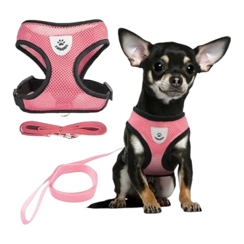Coleira Peitoral Anti Puxão com Guia para Cães e Gatos – Ideal para Filhotes, Pinscher, Shi Tzu e Ra