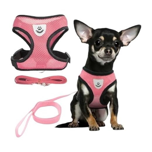 Coleira Peitoral Anti Puxão com Guia para Cães e Gatos – Ideal para Filhotes, Pinscher, Shi Tzu e Raças de Porte Pequeno a Médio – NEXUS MARKET (P, ROSA)