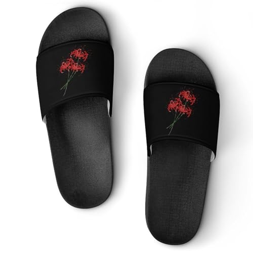 [MOLIHUACHA] ʉ A ut}̉ RXEfBA^ Xbp T_ Y fB[X  [V[Y r[`T_ V[p y ~ R hL ʋC  qp Op ėp 