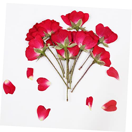 VILLCASE 12 Pçs Flores Secas Prensadas Materiais De Scrapbook Materiais Para Uñas Preservando Flores