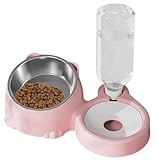 Juego de comida para gatos y agua - inclinado con máquina expendedora, tazón de alimentación de acero inoxidable, base antideslizante, diseño fácil de limpiar | Fabricante de mascotas de co