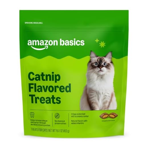Amazon Basics Crunchy & Creamy Catnip Flavor Cat Treats 16 oz. Bag