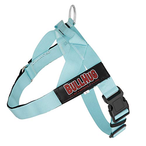 BULLHUG Adjustable Dog Harness No Pull, No Choke  for English Bulldogs, French Bulldogs, Pugs & Broad-Chested Breeds  Easy, Safe Walks (Tiff Blue, XL)