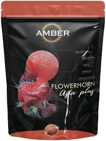 AMBER Asta Plus Flowerhorn Pellet Young Adult Fish Food Pouch, 100g