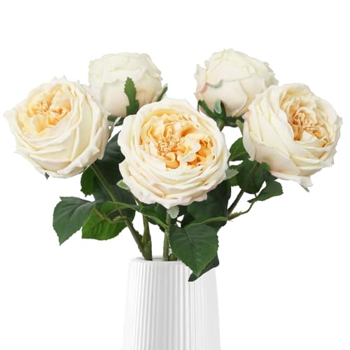 IPOPU 5PCS Real Touch Austin Roses Champagne...