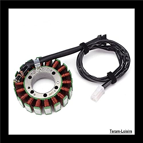 Stator d'allumage Triumph Speed Triple 1050 (2005-2006) TERAM LOISIRS