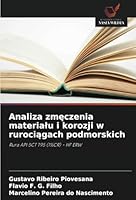 Analiza zmeczenia materialu i korozji w rurociagach podmorskich: Rura API 5CT T95 (1%CR) - HF ERW (Polish Edition) 6208787424 Book Cover