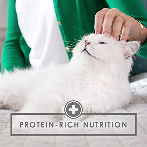 Purina Fancy Feast Wet Kitten Food, Tender Ocean Whitefish Feast - (24) 3 oz. Cans