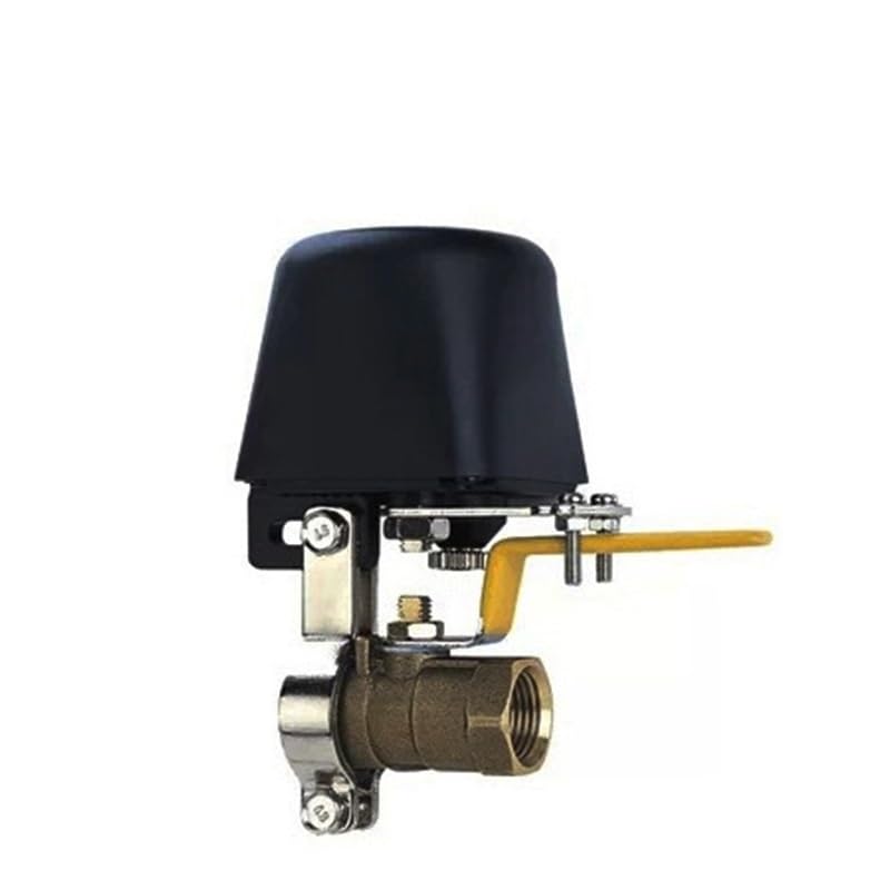 Amazon.com: GDBGJPKM Z-Wave Auto Valve EU 868.4MH Compatible