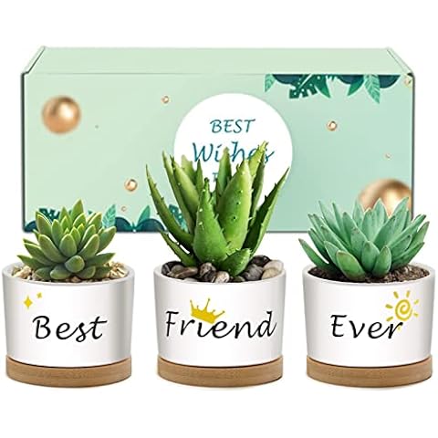 XXXFLOWER Succulent Pots 3.15 inch Ceramic Flower Planter Pot,Pack of 3 with Beautifully Gift Boxed for Aunts, Aunts Birthday Gifts and Women Plant Lovers Cover