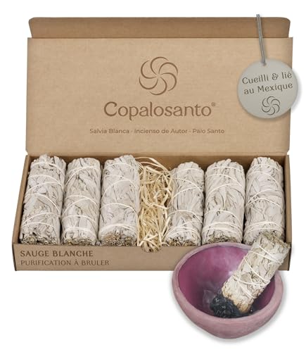 Lot 6 Sauge Blanche Purification A Bruler Baton Encens Naturel Maison Rituel Relaxant Protection Energetique Nettoyage Spirituel Purificateur Atmosphere...
