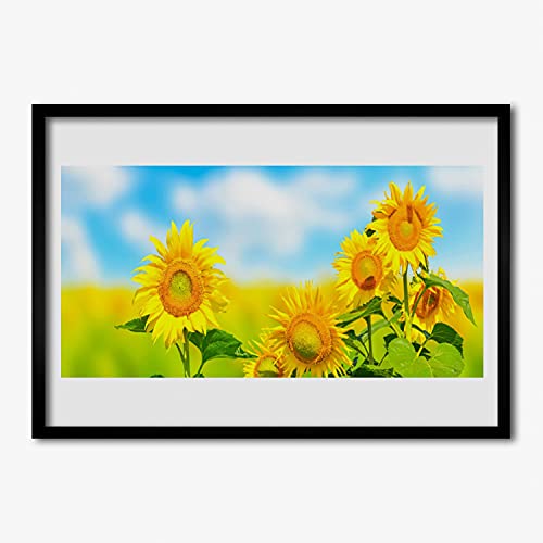 Cadre en mdf avec affiche fleurs de tournesol grand format 70x50 cm image salon