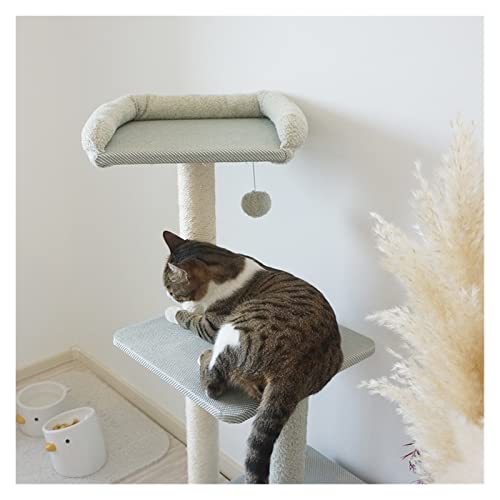Arbre à chat cadre d'escalade for chat et plateforme de saut multi-chats - 5