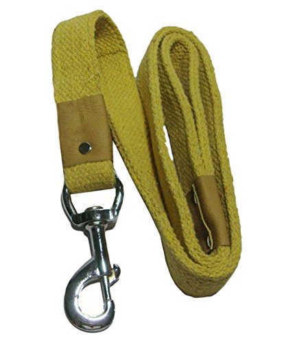 AGNpetspot Khakhi Strong Cotton Dog Leash (1 Inch) (B01MRZOGBL) Amazon Price History, Amazon Price Tracker