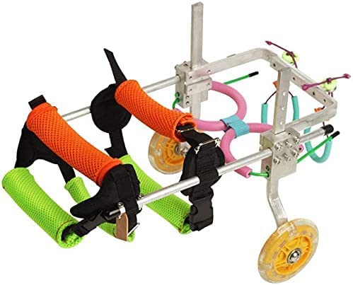 GUIXAN Silla de Ruedas para Perros para Patas traseras Silla de Ruedas para Perros, Coche para Perros, Adecuada para Mascotas, práctica de Patas traseras, rehabilitación de extremidades,