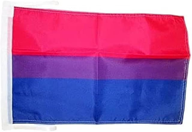 AZ FLAG Bisexuel Flag 18'' x 12'' cords - Rainbow Bi Pride SMALL flags 30 x 45cm - Banner 18x12 in