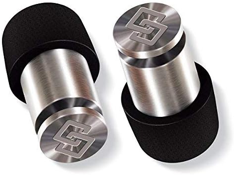 Soundox High Fidelity Ear Plugs for Ear Protection, Concerts, Loud Events | Free Bonus Keychain Case | Comfortable Earplugs for Noise Reduction| Safe Ears| (S,M,L) Sizes - High Polish Space Silver