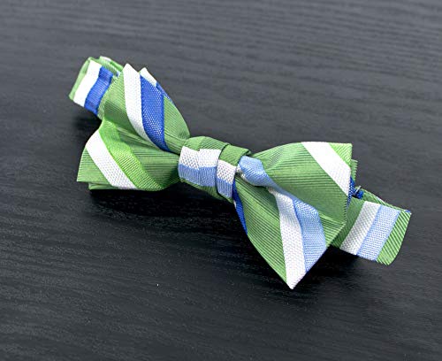 Spring Notion Boy's Striped Woven Bow Tie2