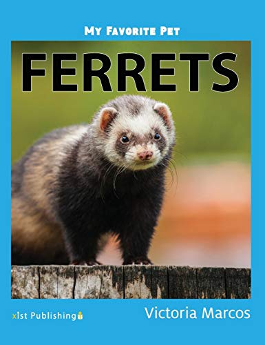 Ferrets (My Favorite Pets)
