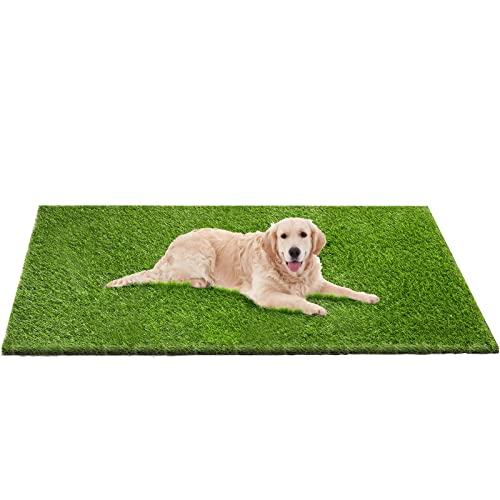 Top 10 Grass Pad For Dogs of 2022 Katynel