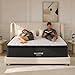 Full Size Mattress, 10 Inch Memory Foam Hybrid Mattresses in a Box, 600+ Pocket Coils & Breathable Foam for All Sleep Positions, Pressure Relief & Spine Support, CertiPUR-US Certified, Cooling Cover
