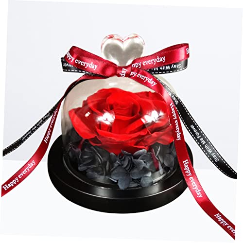 jojofuny 2 Pçs Vidro Rosa Fresco Preservado Dia Para Namorada Fita Cúpula Aniversário Mães Aniversár