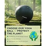 Trideer Exercise Ball for Yoga, Pilates & Fitness – Stability Ball Equipment for Home Gym & Office Chair, Core & Balance Training Accessories, Physical Therapy Equipment, Quick Pump Included, 5 Sizes - Image 2