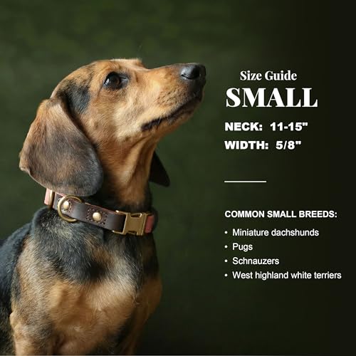 Image of Didog PU Leather Dog Collar for Small Dogs Puppy, Soft Lining, Pink S