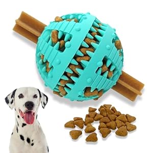 PawsOnly Dog Ball for Small Large Dogs Food Ball for Dogs Puppy Toy Natural Rubber Dental Care Dog Toys Dog Toy Intelligence Ball (Large 8 cm, Blue)