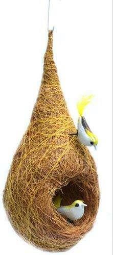 CC ENTERPRISES afest House Organic Bird Nest Purely Handmade Sparrow (Brown)-Set of 2 (B09H2R85YG) Amazon Price History, Amazon Price Tracker