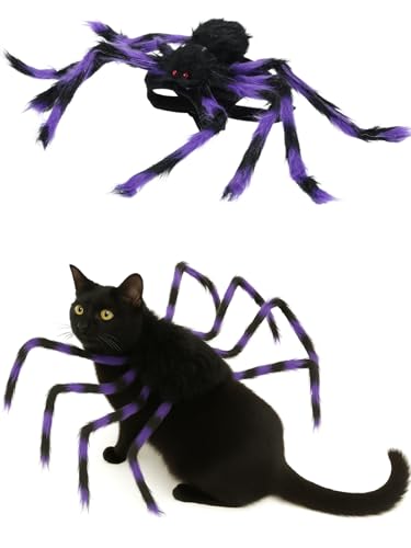 Disfraz de Araña para Perros Pequeños Halloween Ajustable
